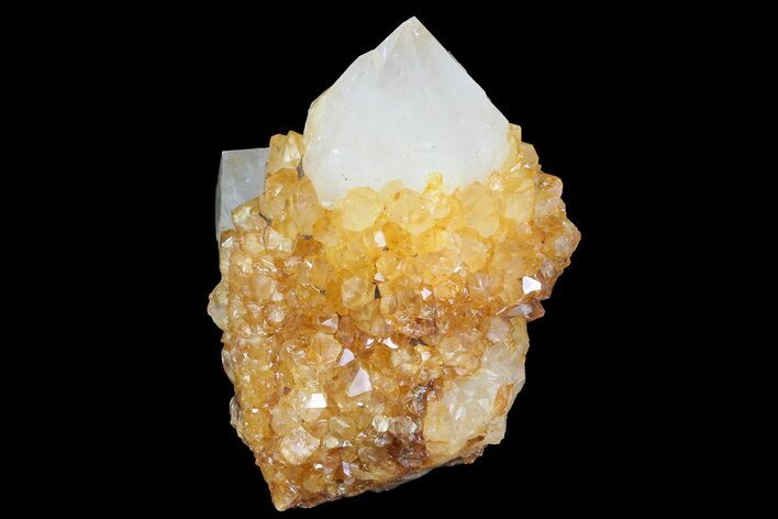 Sunshine Cactus Quartz Crystal Cluster - South Africa #80195